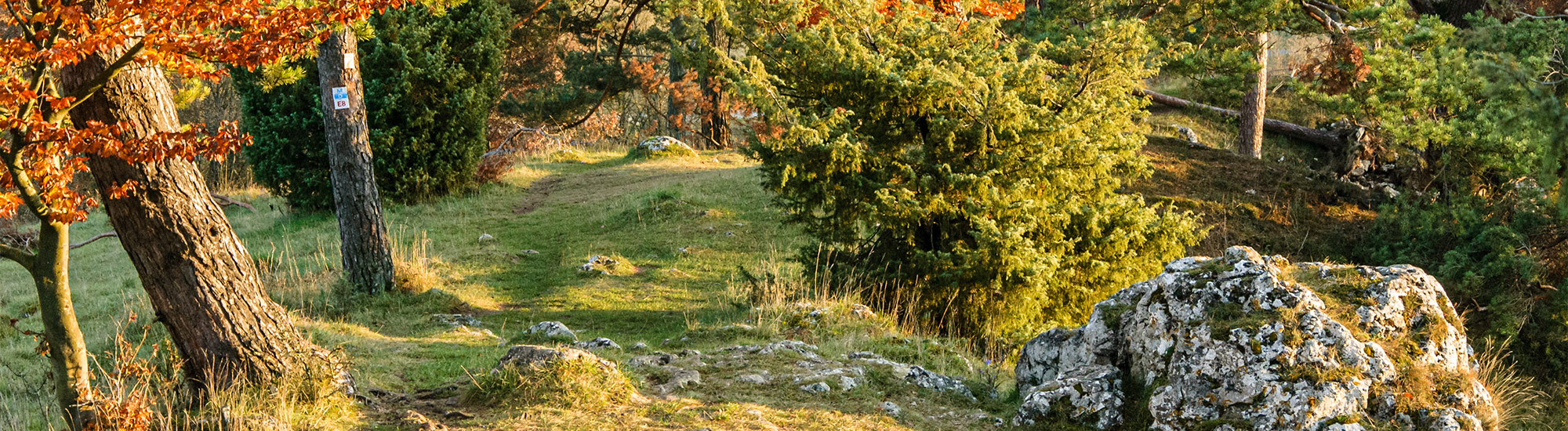 Altmuehlpanoramaweg 12 Apostel 1