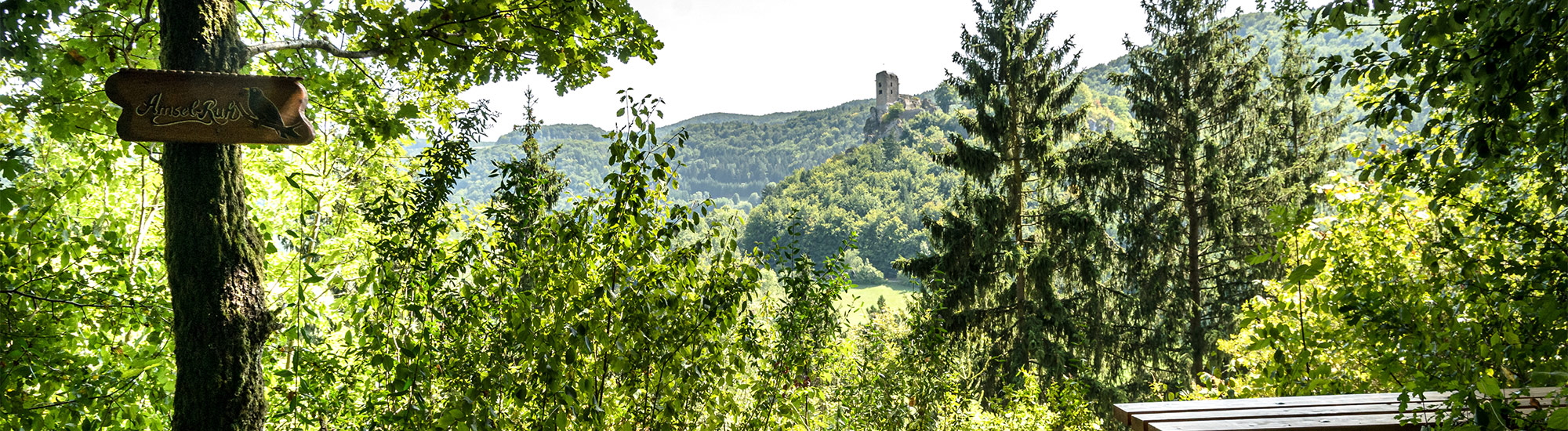 Blick auf Burgruine Neideck Amselruh 1